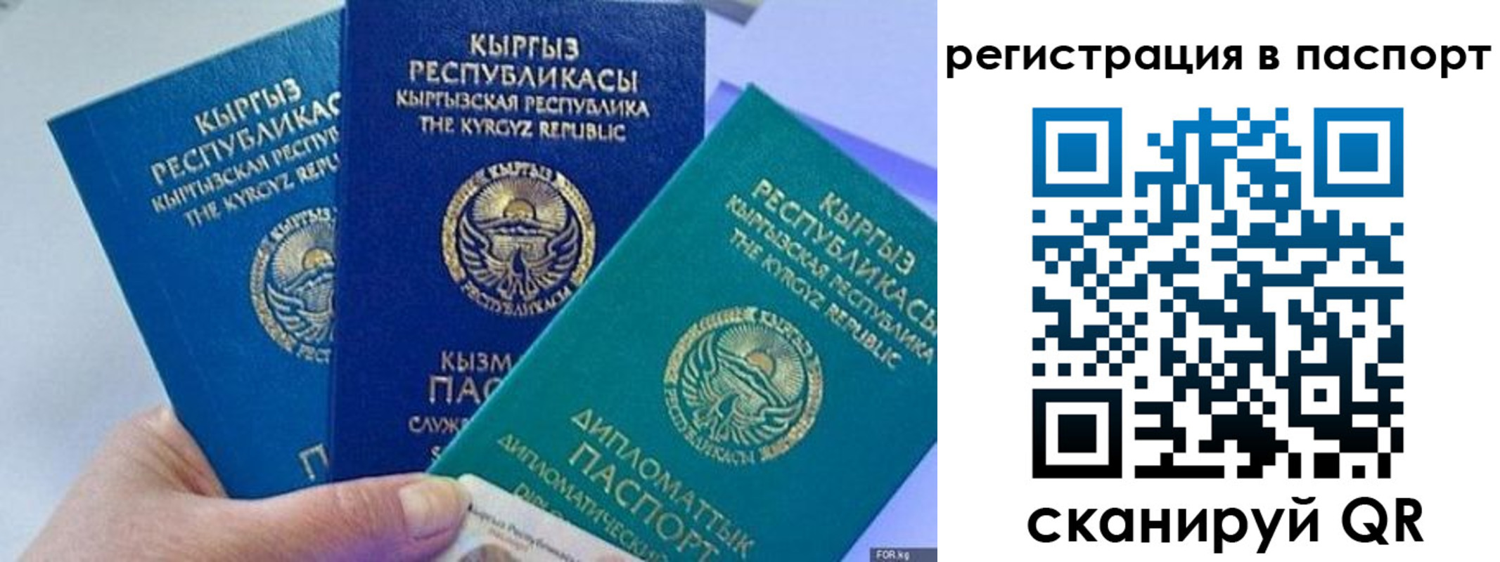 прописка 2025 в Хадыженске